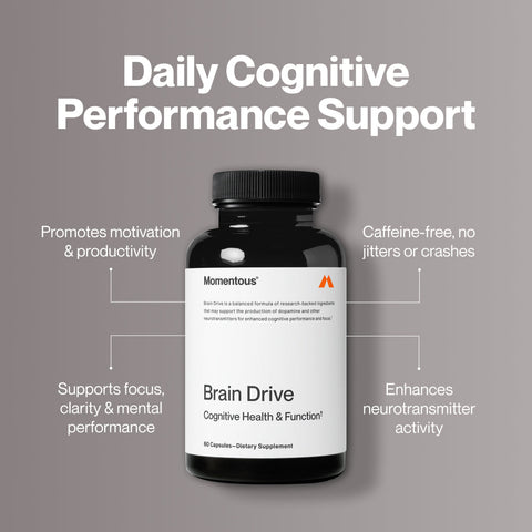 Brain Drive