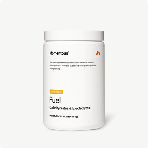 Fuel