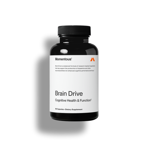 Brain Drive